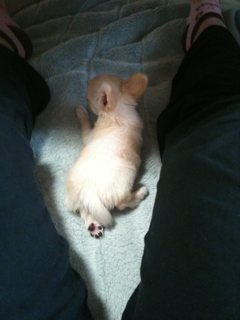 image-20100493162158.png