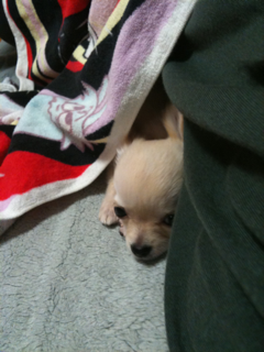 image-20100493190414.png
