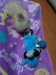image-20100495175909.png