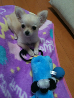 image-20100495175948.png