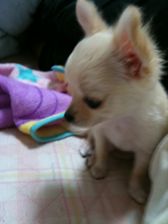 image-20100497221616.png