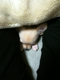 image-20100497221657.png