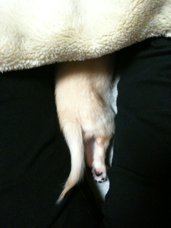 image-20100497221713.png