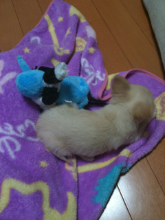 image-20100499235107.png