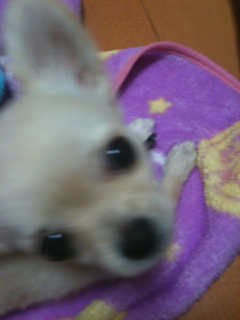 image-20100499235125.png