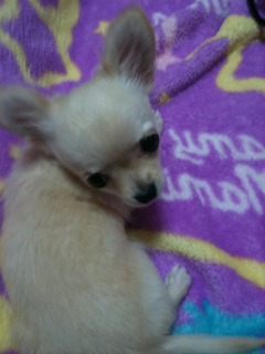 image-20100499235139.png