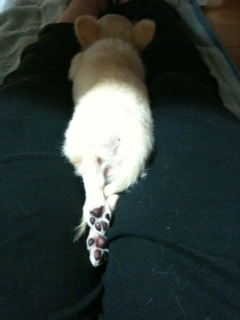 image-201005122221542.png
