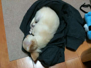 image-201005128030142.png