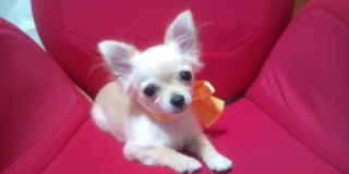 image-201005150174452.png