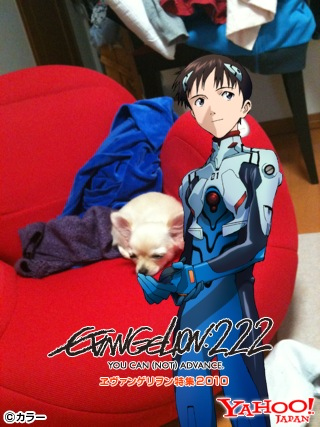 image-20100604055953.png