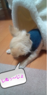 image-20100609215648.png