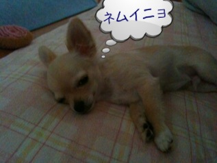 image-20100609215902.png
