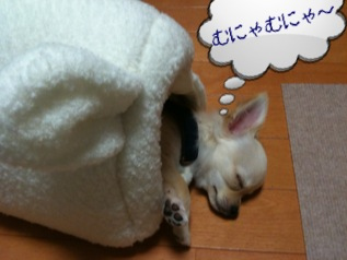 image-20100609220258.png