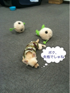 image-20100617021251.png