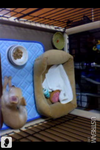 image-20100617215732.png