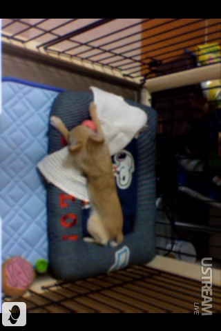 image-20100704232809.png