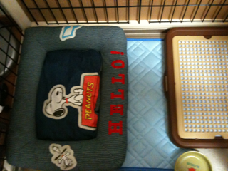 image-20100704232830.png