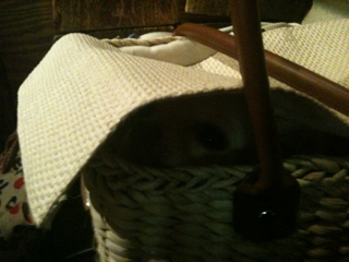 image-20100707024637.png