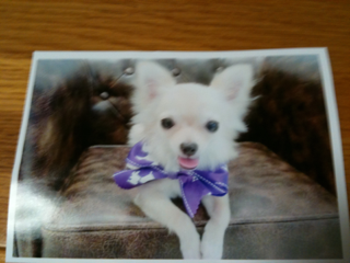 image-20100801215428.png