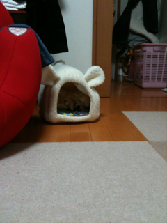 image-20100801215955.png