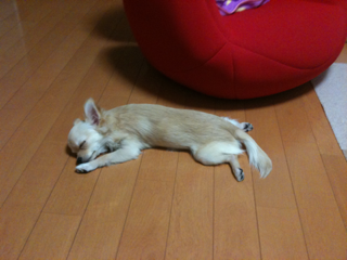 image-20100801220626.png