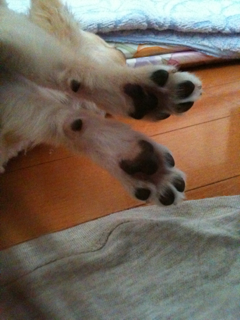 image-20100801220723.png
