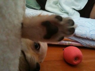 image-20100801220814.png