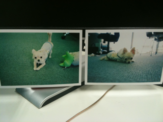 image-20100801220848.png