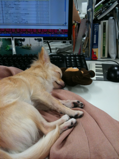 image-20100810192452.png