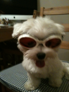 image-20100816044641.png
