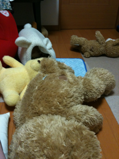 image-20100821044110.png