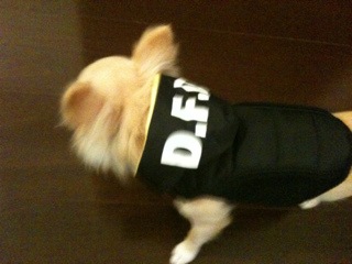 image-20100903021649.png