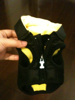 image-20100903021713.png