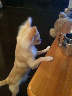 image-20100915020604.png