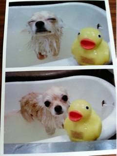 image-20101030152630.png