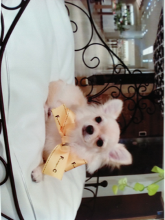image-20101030152708.png