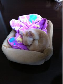 image-20101030152752.png