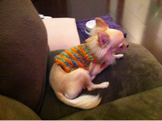 image-20101107210708.png