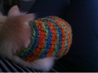 image-20101107210728.png