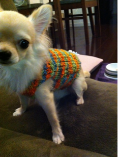 image-20101107210746.png