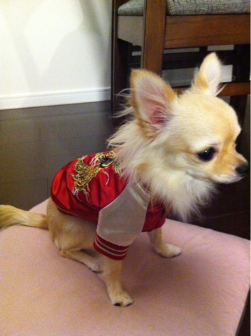 image-20101117183251.png