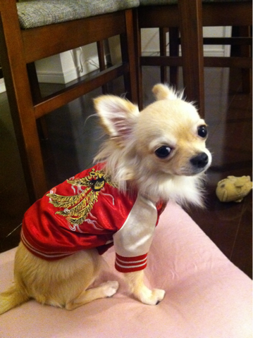 image-20101117183751.png