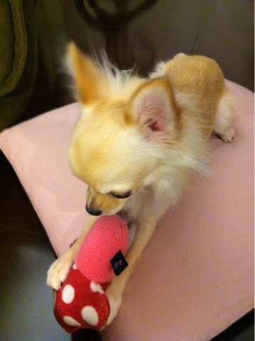 image-20101117183844.png