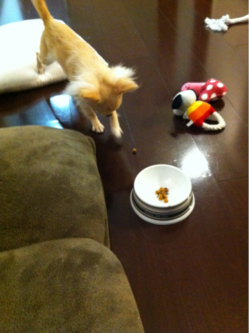 image-20101207022014.png
