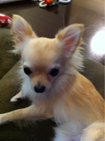 image-20101215151341.png