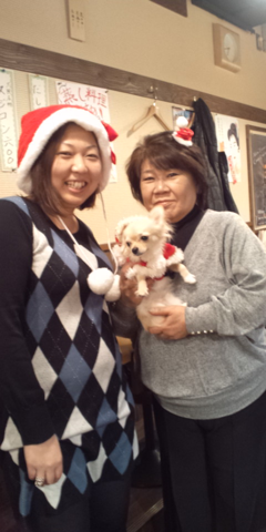image-20101227000251.png