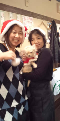 image-20101227000323.png