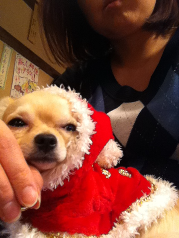 image-20101227000444.png