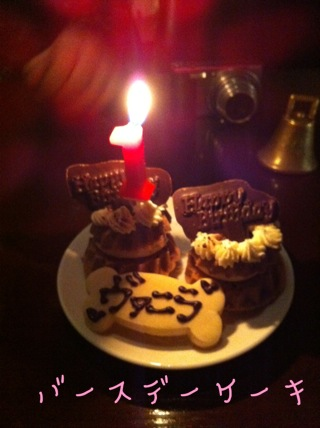 image-20101231045248.png