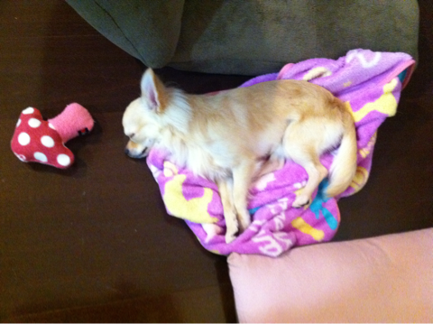 image-20101231045509.png